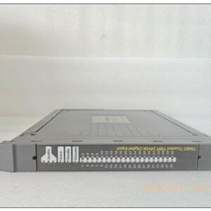 ICS TRIPLEX T8403 TMR 24 VDC Digital Input Module